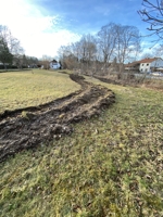 Anlage einen Bienenweide - Nach dem Ackern